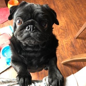 Meet your Posher, Brianne